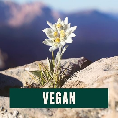 Picture of The Body Shop Edelweiss Daily Serum Concentrate – Hydrates and Refreshes Skin – Vegan