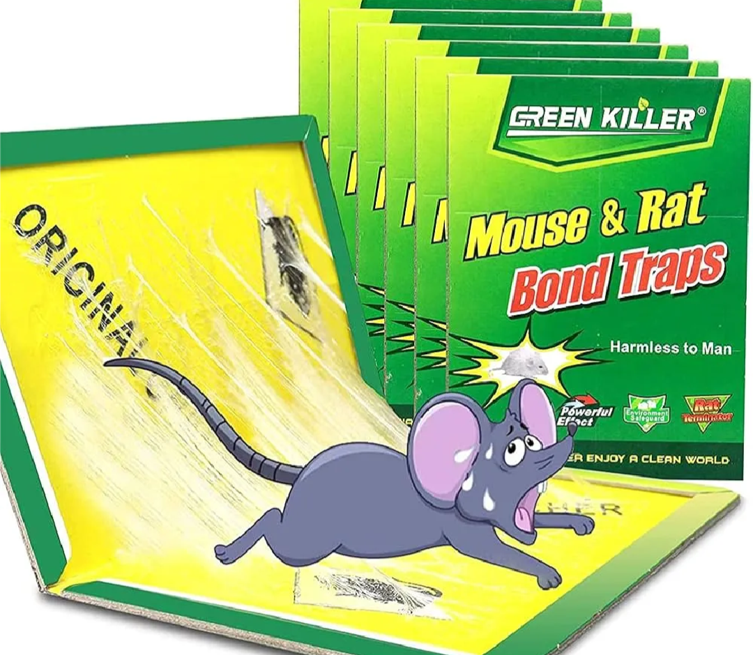 Picture of Mouse Board Rat Bond Traps Green Killer size 12"x8" (1 PSC or 3PCS) Mouse Sticky Mice Glue Trap High Effective Rodent