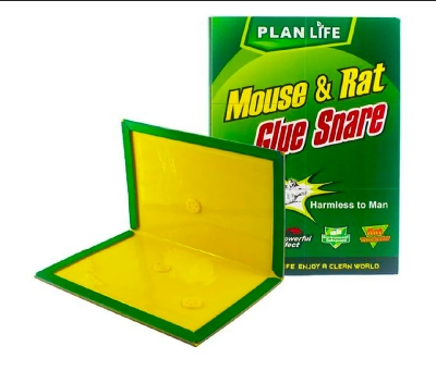 Picture of Mouse Board Rat Bond Traps Green Killer size 12"x8" (1 PSC or 3PCS) Mouse Sticky Mice Glue Trap High Effective Rodent