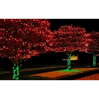 Picture of Fairy Decorative Light 100 Led- Weeding Festival Party 30- 33 Feets water proof Led Light. - Room Decoration Light ( Red )