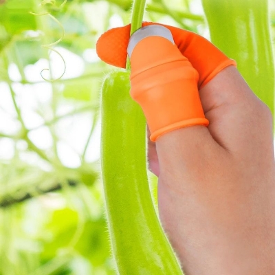 Picture of Silicone Thumb 5PCS Finger Protector Gears Cutting Vegetable ( Orange )