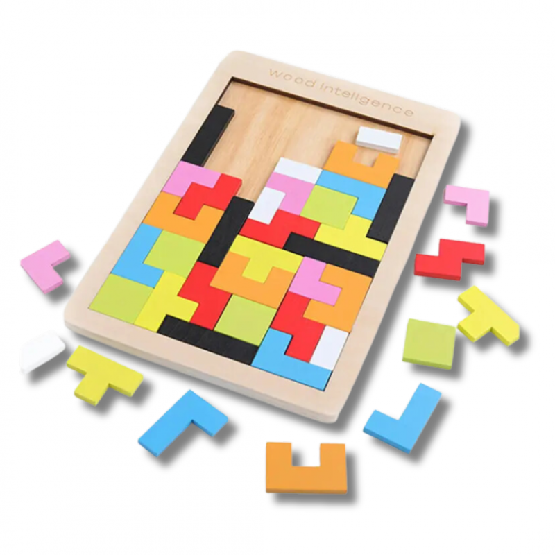 Picture of Wooden Intelligence Puzzle