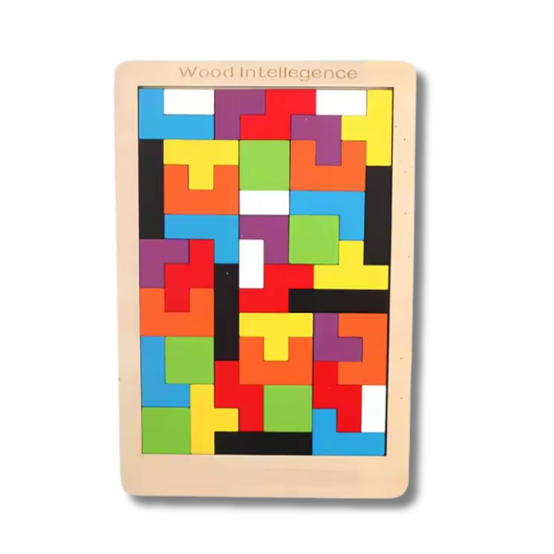 Picture of Wooden Intelligence Puzzle