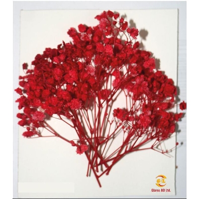 Picture of Epoxy Baby Breth Flower 1 Packet