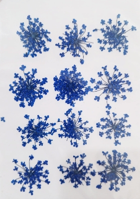 Picture of Majus Flower | Wedding Accessories Party Lace Dried Press Flower Red