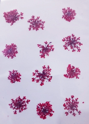 Picture of Majus Flower | Wedding Accessories Party Lace Dried Press Flower Red