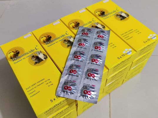 Picture of Helminticide-L Dog & Cat Common Worm Tablet (2 Pcs)