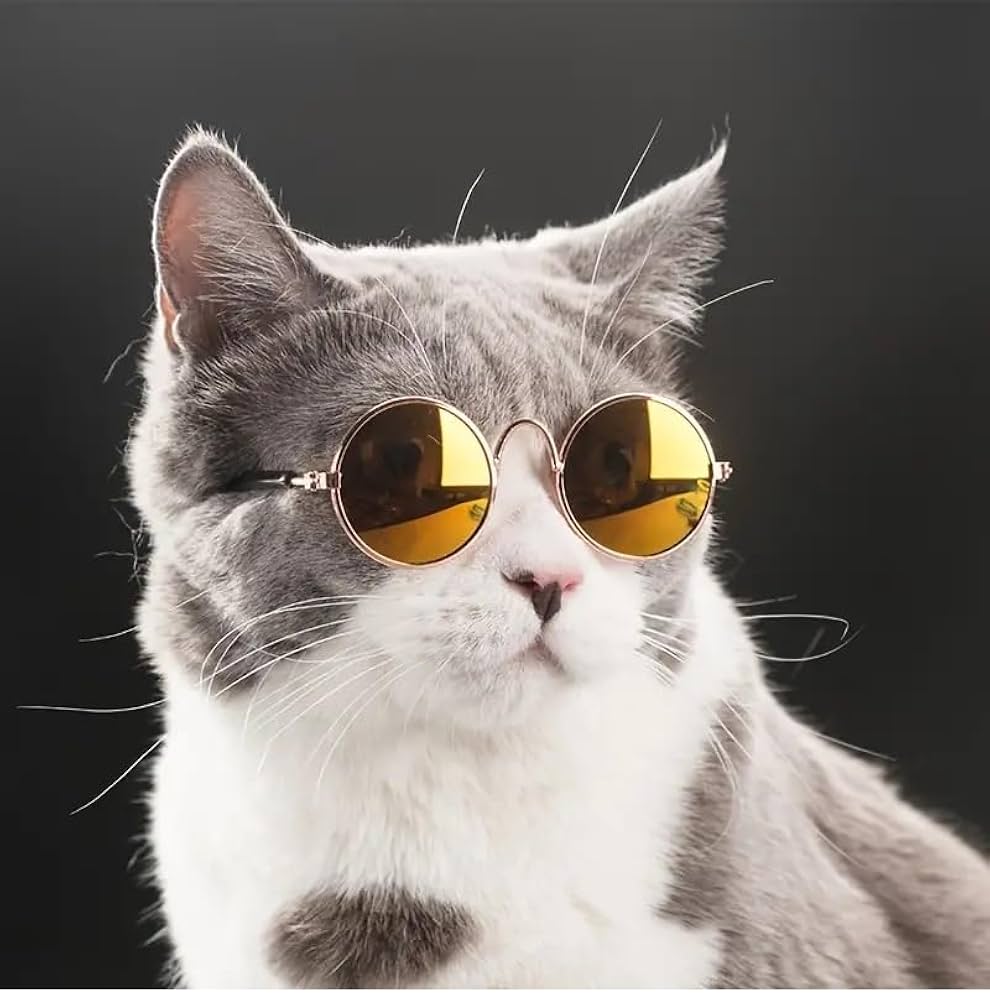 Picture of Cute and Funny Cat Pet Sunglasses