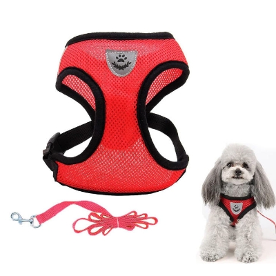 Picture of Cat Pet Kitten Cats/Dogs Puppy Harness & Leash Breathable Reflective -Random (M Size)