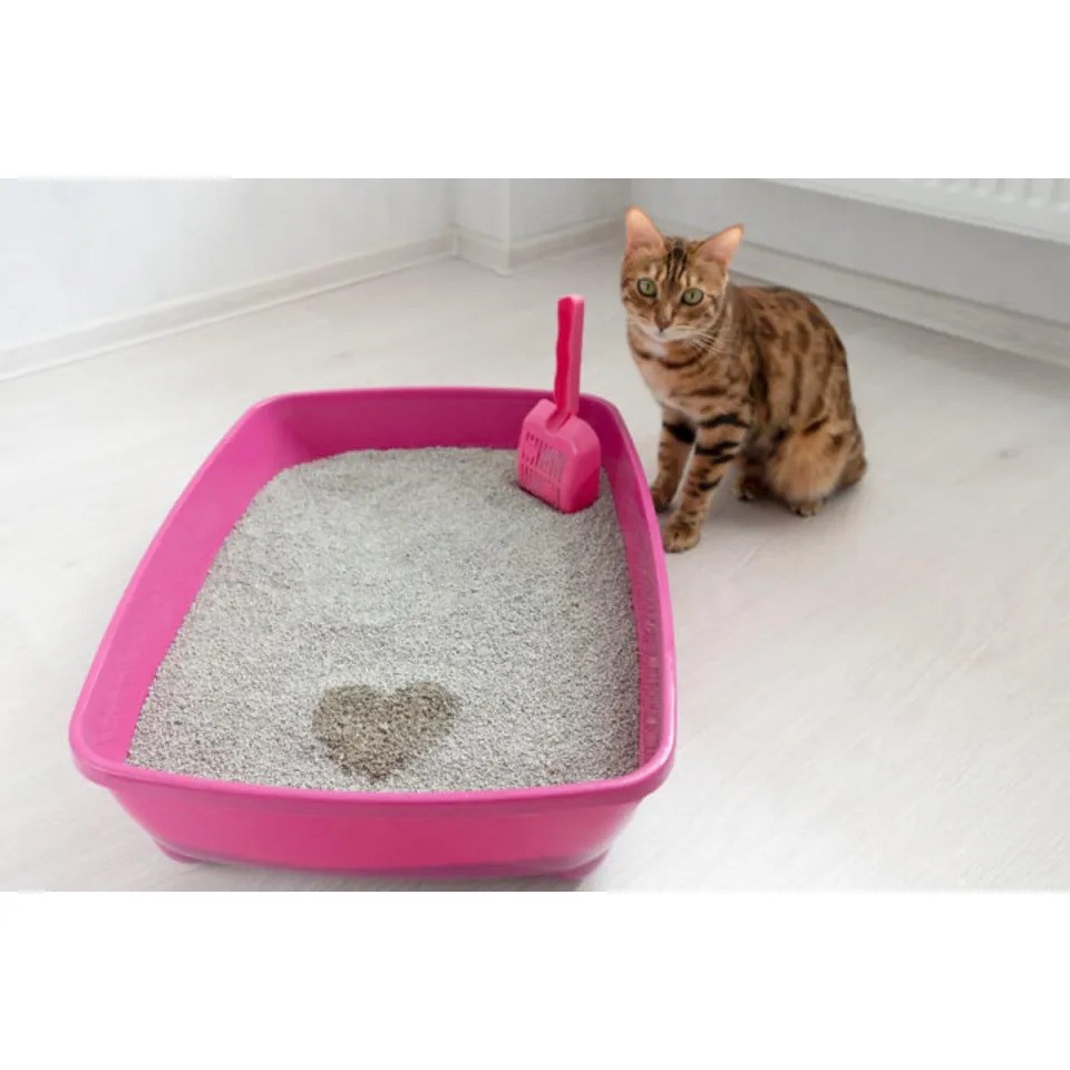 Picture of Cat Litter Box With Scop Small Size