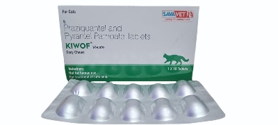 Picture of KIWOF Cat Tablet - Praziquantel and Pyrantel Pamoate Tablets-1pcs