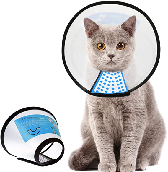 Picture of Cat & Dog E-Collar Or Operation Collar