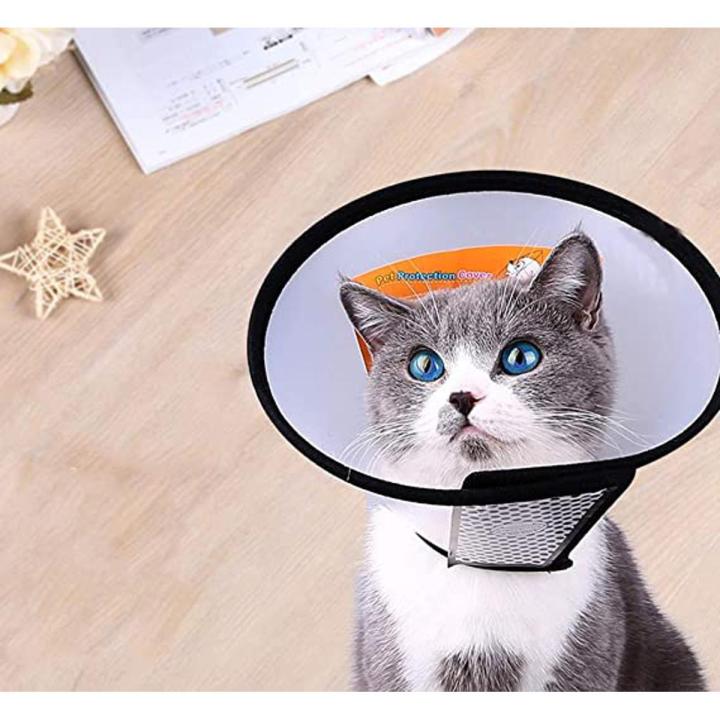 Picture of Cat & Dog E-Collar Or Operation Collar