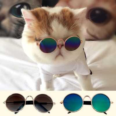 Picture of Cat Sunglass Toy - Multi Colour Full