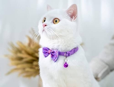 Picture of Pet tie Cat Collar Adjustable Dot Prints Doggy Bow Tie Purple Color