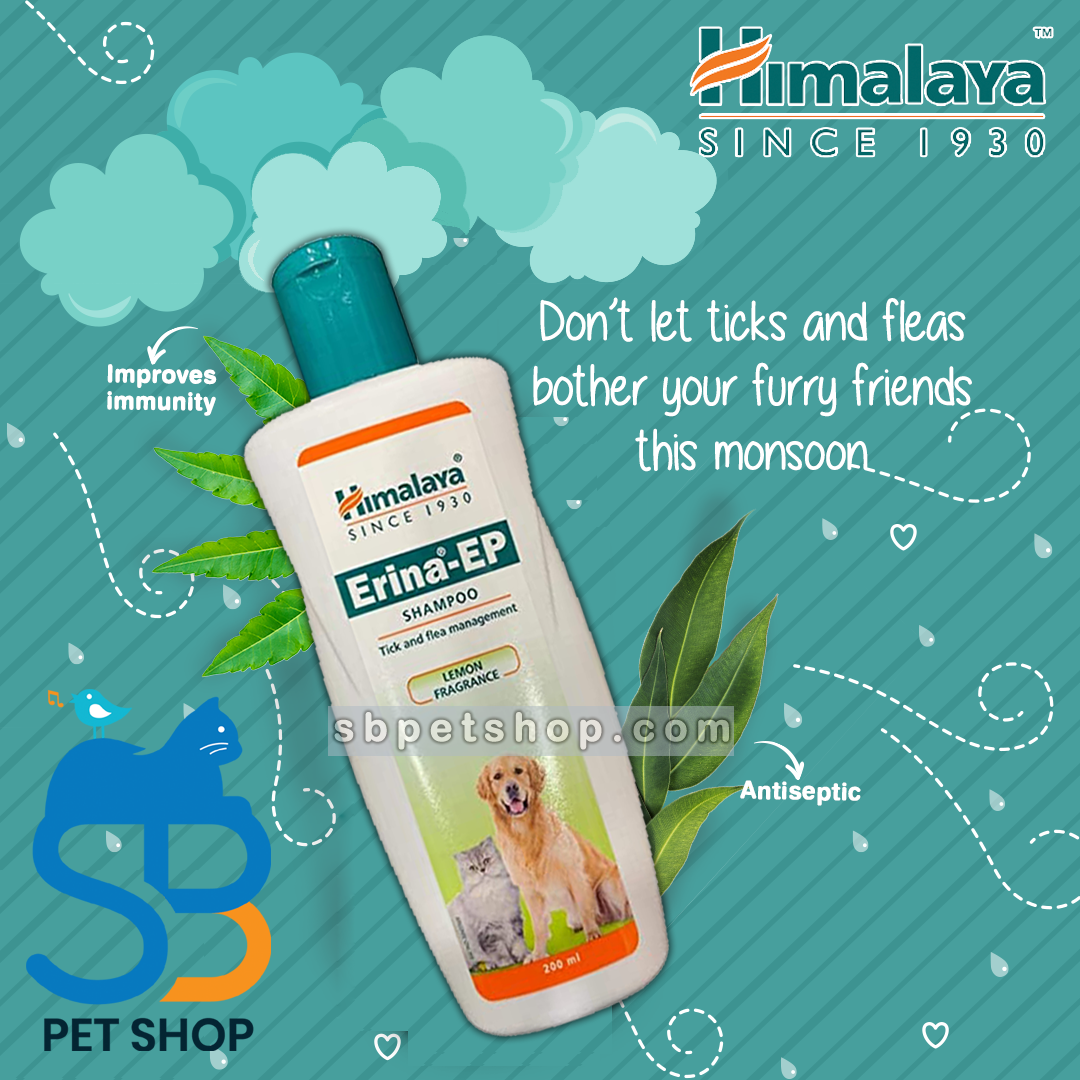 Picture of Erina-EP Tick and Flea Dog & Cat Shampoo 200ml