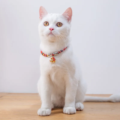 Picture of Luxury collar for cat - Red color