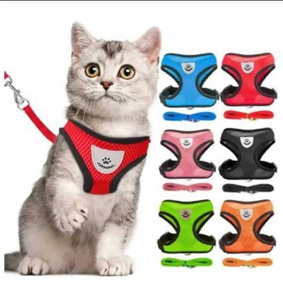 Picture of Cat Pet Kitten Cats/Dogs Puppy Harness & Leash Breathable Reflective -Random (S Size)