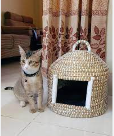 Picture of Cat Houses Oven Shaped