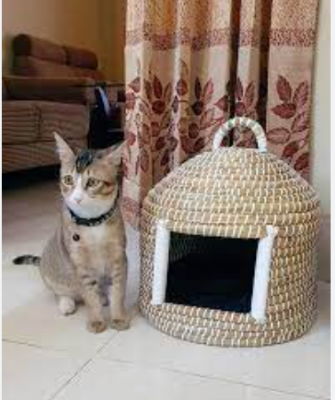 Picture of Cat Houses Oven Shaped