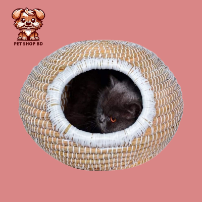 Picture of Cat House Round Shaped