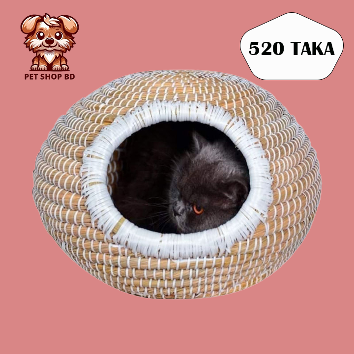 Picture of Cat House Round Shaped