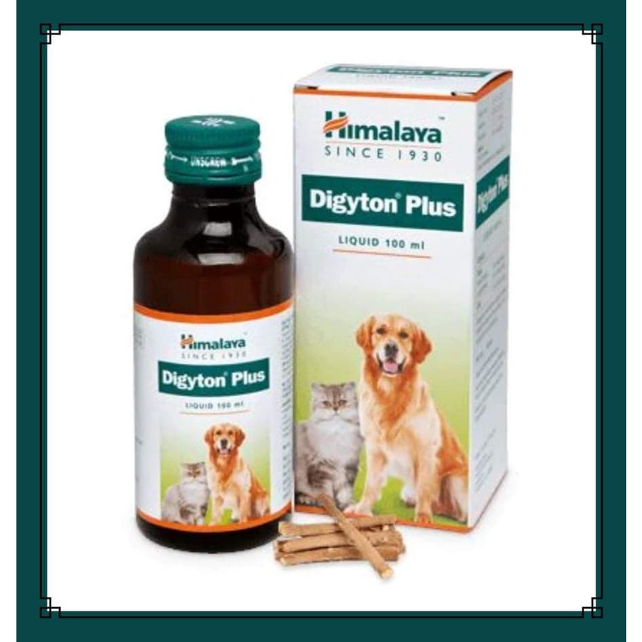 Picture of Digyton Plus 100 ml for adult cat and dog