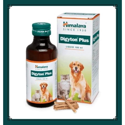 Picture of Digyton Plus 100 ml for adult cat and dog