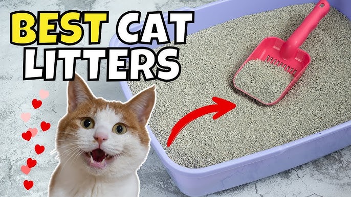 Picture of Easy Scoop Bentonite Cat Litter
5Litter