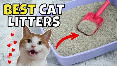 Picture of Easy Scoop Bentonite Cat Litter
5Litter