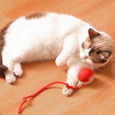 Picture of Interactive Cat Toy Ball Super Drive Cat Rolling Balls Motion Activated Sensor Pet Kitten Teaser Game Toy