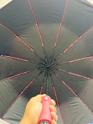 Picture of BMW Auto Open And Auto close 12 Ribs Umbrella-Blue,black,Wine red and green - Blue