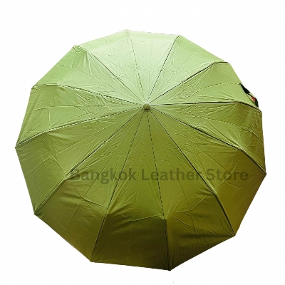 Picture of Rahman Umbrella 12 Ribs Auto close Umbrella | Rahman Umbrella 12 Ribs Heavy Duty Umbrella for Man & Woman | - Light green