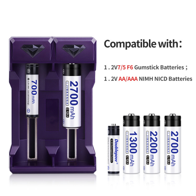 Picture of Doublepow UK201 1.2V Ni-Cd/Ni-MH Battery Fast Charger with Full Charge Indication Facility for Rechargeable 1.2V AA/AAA & 7/5 F6 Chewing Gum Stick/Gumstick for SONY MiniDiscs and Walkmans - 1 Piece