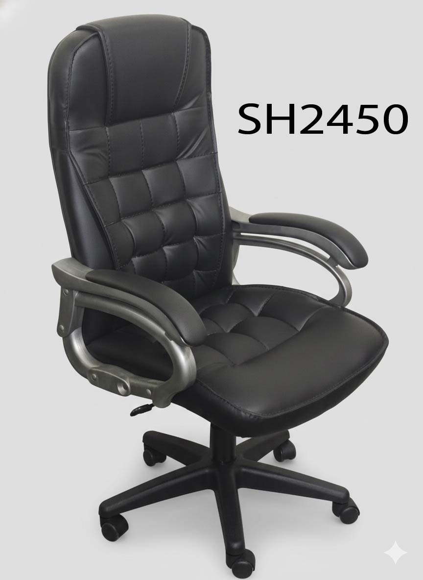 Picture of Brand New Boss Chair with Warranty (Modern Boss Chair)