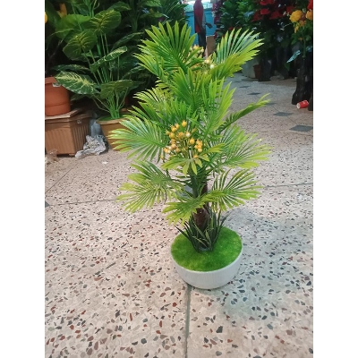 Picture of Bonsai Plant With Matir Tob-4 - Home Decoration Item