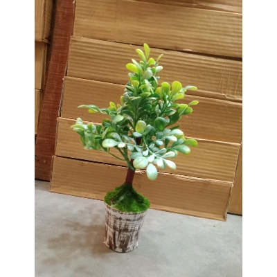 Picture of Artificial Plastic Plant Tree -
