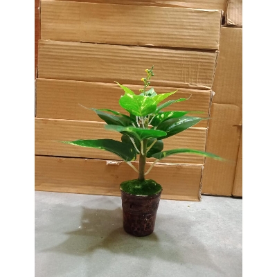 Picture of Artificial Plastic Plant Tree -
