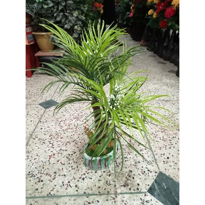 Picture of Artificial Plastic Plant  -Bonsai  Tree