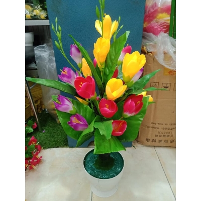 Picture of Bonsai Plant With Matir Tob-20