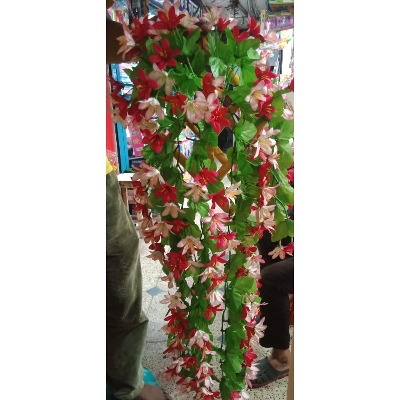 Picture of Artificial Plastic Plant- Hanging Flower - Home Decoration Item