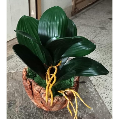 Picture of Artificial Plastic Plant Tree -