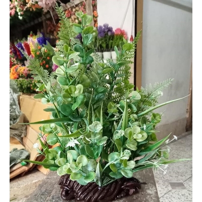 Picture of Artificial Plastic Plant - Home Decoration Item - Home Decoration Item