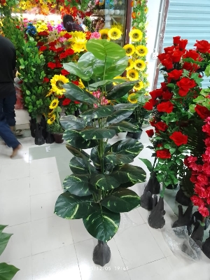Picture of Artificial Plastic Plant-(1 pec only) - free delivery