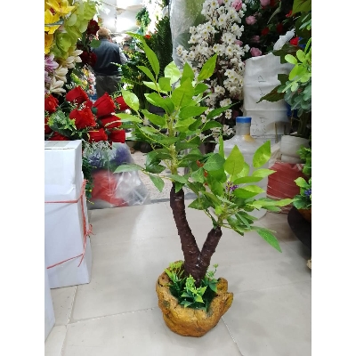 Picture of Artificial Plastic Plant Tree  -
