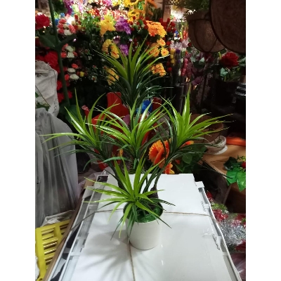 Picture of Artificial Plastic Plant  -Bonsai  Tree