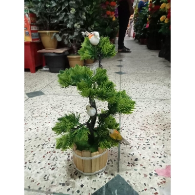 Picture of Artificial Plastic Plant  -Bonsai  Tree