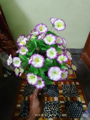 Picture of Artificial Plastic Plant