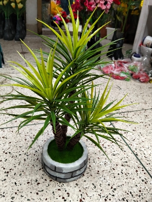 Picture of Artificial Plastic Plant-(1 pec only BONSAI