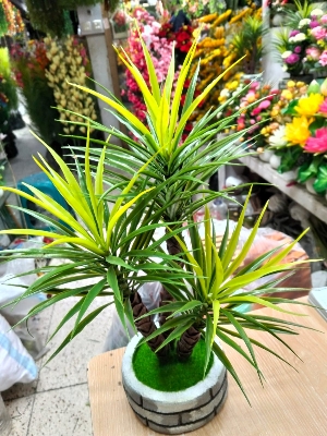 Picture of Artificial Plastic Plant-(1 pec only BONSAI